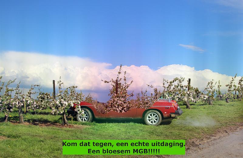 MG Bloesemrit op 24-4-2016 org. Jos&Marie-lou  (301).jpg